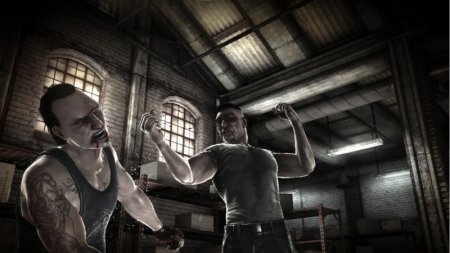    (The Fight: Lights Out) (  PlayStation Move) (PS3)  Sony Playstation 3